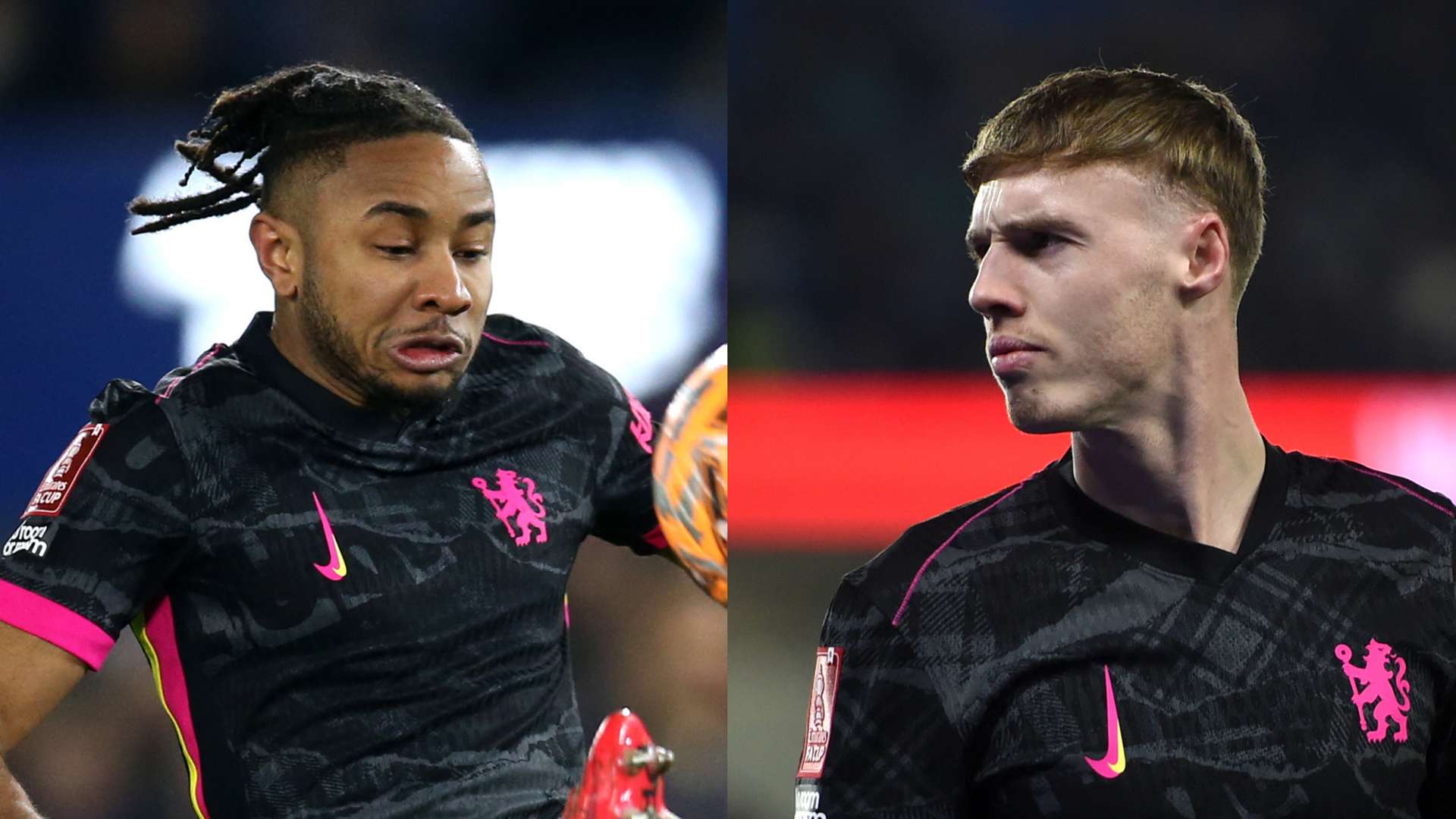 许多球员的 许多球员的